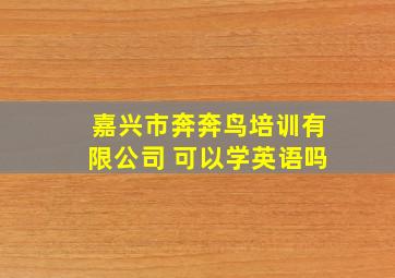 嘉兴市奔奔鸟培训有限公司 可以学英语吗